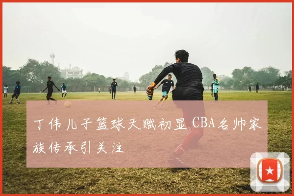 丁伟儿子篮球天赋初显 CBA名帅家族传承引关注