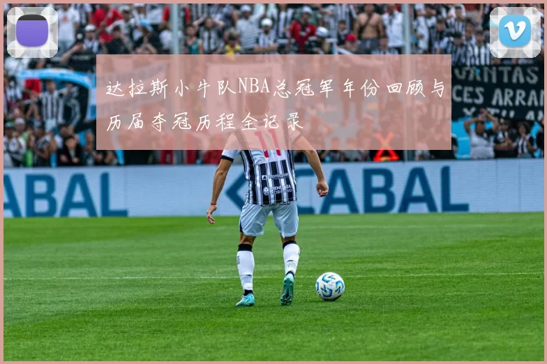达拉斯小牛队NBA总冠军年份回顾与历届夺冠历程全记录