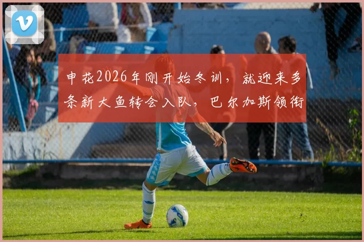 申花2026年刚开始冬训，就迎来多条新大鱼转会入队，巴尔加斯领衔_斯卢茨基_申花队_赛季