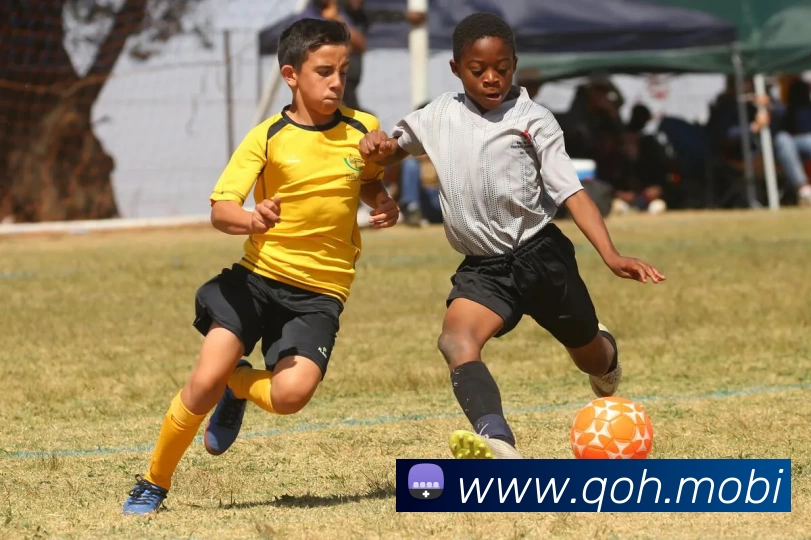 开云网页版·官方版在线登入 - 开云(中国)发展历程